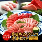 串本産 養殖 本まぐろ トロ、赤身セット(赤身 150g以内、トロ350g以上)サクの状態で3~4袋でお届け(真空包装)ギフト 贈り物 プレゼント (fy8)