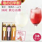 まだ間に合う！ 母の日 プレゼント ギフト 健康飲料 飲むお酢 果汁たっぷり フルーティde酢 3本 (いちじく、柚子、ブルーベリー)各200g 内祝い ヘルシー (fy4)