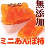 内祝い ギフト 紀州自然菓　あんぽ柿個包装　3個入（ぷちサイズ）　(fy3)