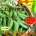 こだわりスナップえんどう1kg 匠の里紀州が育てる安心安全でさやごと食べれる、驚きの甘さのスナック豌豆を産地直送でお届け　(fy3)