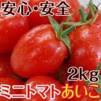 ショッピングミニ ミニトマトあいこ（アイコ）2kg （和歌山県産）減農薬、減化学肥料で育てたこだわりハウス栽培の美味しさ！　(fy5)