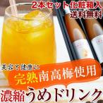 ギフト お持たせ 手土産 完熟梅ジュース(紀州南高梅使用)500ml 2本セット化粧箱入 送料無料! 香り高く濃厚なコクのある梅ドリンク (fy5)