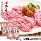 ショッピングそうめん ギフト 紀州南高梅肉入 手延べ梅そうめん1kg（250g×4袋） ネコポス便 全国送料無料！素麺 お試し ご家庭用  (fy4)　※めんつゆは別売りです