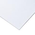 アーテック（ArTec） ［013004］ 片面キャンバスボード　４切 4521718130040