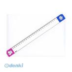 井上製作所 ［RCS-10］ 再生ペット定規 10cm RCS10