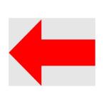 �������Ή� �u�����v �s�q�t�r�b�n TSN-100-M2-TMR �}�[�N�X�e�b�J�[ �P�O�O�~�P�O�O �u���v�}�[�N �����n �ԕ��� �P���� TSN1