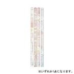  солнечный X древесный уголь .ko......... Cafe карандаш 2B 4 рисунок круг ось ограничение симпатичный подарок название inserting не возможно 