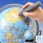 ＼本日Point5%／地球儀 子供 プレゼント しゃべる地球儀 国旗付トイ 25cm球 メーカー直販 最新地図 OYV403（ラッピング無料）2024/05