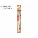 [ ваш заказ ]e винт Let*s Pro рукоятка зубная щетка ...10 лет из 1 шт. 