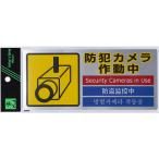  свет много государственный язык предотвращение преступления меры стикер камера системы безопасности работа средний SEC291-1