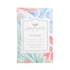 * зеленый leaf свежий sentsuS ножны Play аромат пакет саше GL07110*10 шт до почтовая доставка возможно 