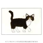 グリーティングライフ 米津祐介 ポストカード ハチワレねこ  YZ-449