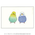 グリーティングライフ 米津祐介 ポストカード セキセイインコ  YZ-450