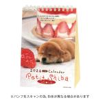 ショッピング卓上カレンダー アクティブコーポレーション 2026年版 卓上カレンダー ぷちしば 柴犬  26ACL-545