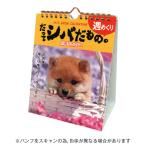 ショッピング卓上カレンダー アクティブコーポレーション 2026年版 卓上カレンダー だってシバだもの。 柴犬 森田米雄  26ACL-566