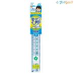レイメイ 先生おすすめ定規 すーっと動いてぴたっと止まる 直定規 15cm 日本製 APJ93 再生PET