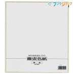 マルアイ 色紙 画仙色紙 NO.5 レター 便り 手紙 書状 書き味も抜群 シキシ サイン 寄せ書き サインペンに最適 記念 思い出 サイン 色紙 書道 水墨画 画仙紙使用
