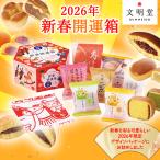 公式 文明堂 新春開運箱 ※予約販売/12月24日より順次発送 (カステラ巻(ハニー/抹茶) 寿月三笠 栗饅頭 くるみ饅頭 洋風饅菓苺ミルク ブッセチョコレート 各1個)
