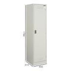 kokyo_fn CLK-35F1 clean запирающийся шкафчик натуральный серый модель W455H1790 приложен ( tray * корзина *. ширина ..* крюк * швабра ..)