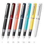 ショッピング万年筆 プラチナ万年筆　PNS-5000#　万年筆　プロシオン＜PROCYON＞　ステンレスペン