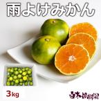 ショッピング文旦 特選秀品　雨よけみかん　約3kg【送料込】【予約】