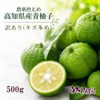  Kochi префектура производство синий yuzu пестициды запись . царапина несколько большее количество примерно 500g [ включая доставку ][ подарок объект вне ][ синий ..]