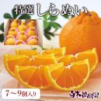 ショッピングデコポン しらぬい（でこぽん）特選秀品 ご贈答用　約3kg 【送料込】