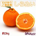ショッピングデコポン しらぬい ご家庭用 約3kg 【送料込】