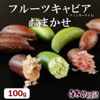 フルーツキャビア・おまかせセット(フィンガーライム)(キャビアライム) 100g【送料込】