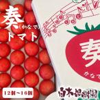 【クール送料込】奏トマト 約800g