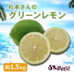 ショッピング文旦 高知県黒潮町産グリーンレモン 約1.5kg