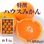 【送料込】高知県産特選ハウスみかん 約1kg