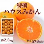 【送料込】高知県産特選ハウスみかん 約2.5kg