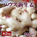 [ прохладный включая доставку ] house культивирование новая жизнь . примерно 2kg Kochi имбирь сырой .. предмет .. предмет уксус .[5 месяц средний . после. прохладный рейс ]