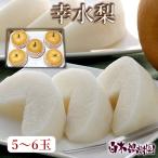 【予約】【送料込】高知県産特選秀品 幸水梨(もしくは凛夏・秋水梨) 5〜6玉入り 約2kg【クール便】