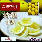 ショッピング送料込 【送料込】特選 甘熟とさ小夏 約3kg