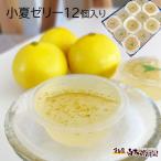 小夏ゼリー12個化粧箱入り【送料込】