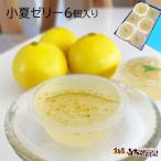 小夏ゼリー6個化粧箱入り【送料込】