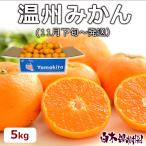 ショッピング文旦 高知県産温州みかん　ご贈答用約5kg (11月下旬〜発送）【送料込】
