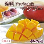 ショッピング文旦 高知県産アップル土佐マンゴー　秀品・化粧箱（2個入）