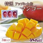 ショッピング文旦 高知県産アップル土佐マンゴー　秀品・化粧箱（3個入）