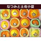 na... земля . маленький лето комплект [ включая доставку ]