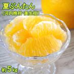 【送料込】 露地夏ぶんたんご家庭用　約10kg