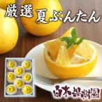 【送料込】 厳選夏ぶんたん 化粧箱入り