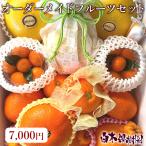 白木果樹園 オーダーメイド【Eセット】フルーツ 柑橘 果物 詰め合わせ 【送料無料】