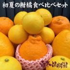 ショッピング文旦 【送料込】初夏の柑橘 食べ比べセット