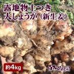 . земля предмет земля имеется большой имбирь ( новая жизнь .) примерно 4kg[ включая доставку ] Kochi имбирь сырой . имбирь 
