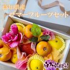 [ прохладный включая доставку ] summer фрукты комплект 