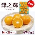 【セール品】津之輝（つのかがやき）ご家庭用M〜2Lサイズ　約2.5kg【送料込】