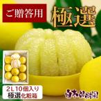 ショッピング文旦 文旦 土佐文旦 極選化粧箱2Ｌ中玉10個入り【送料込】